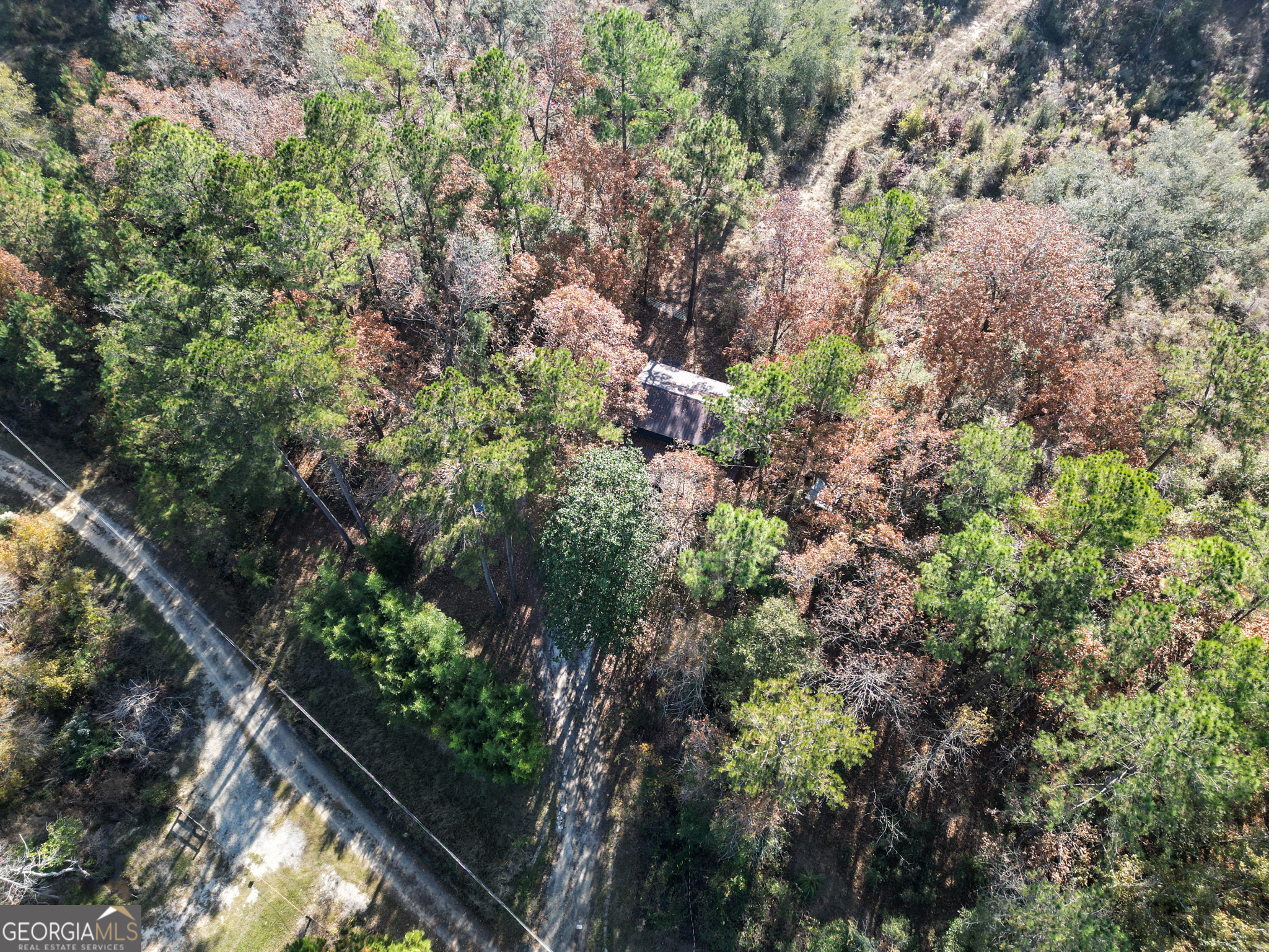 2286 Carter Bight Landing Road Surrency, GA 31563 - Photo 26 of 35 a picture of tree