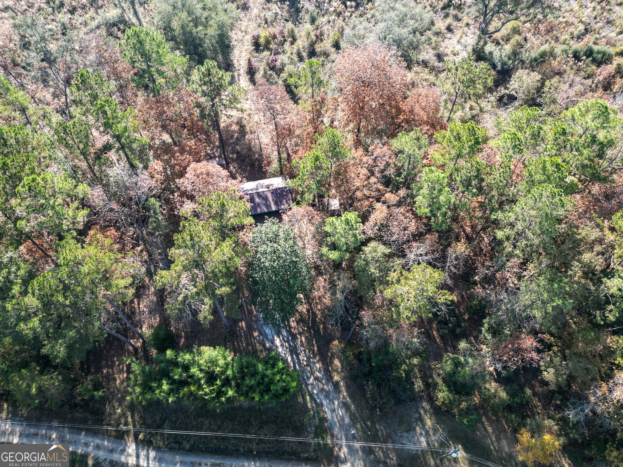 2286 Carter Bight Landing Road Surrency, GA 31563 - Photo 27 of 35 a view of a city with lush green forest