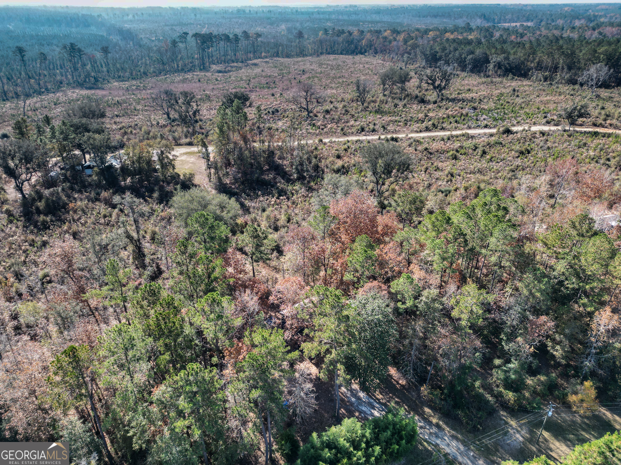 2286 Carter Bight Landing Road Surrency, GA 31563 - Photo 29 of 35 an aerial view of forest