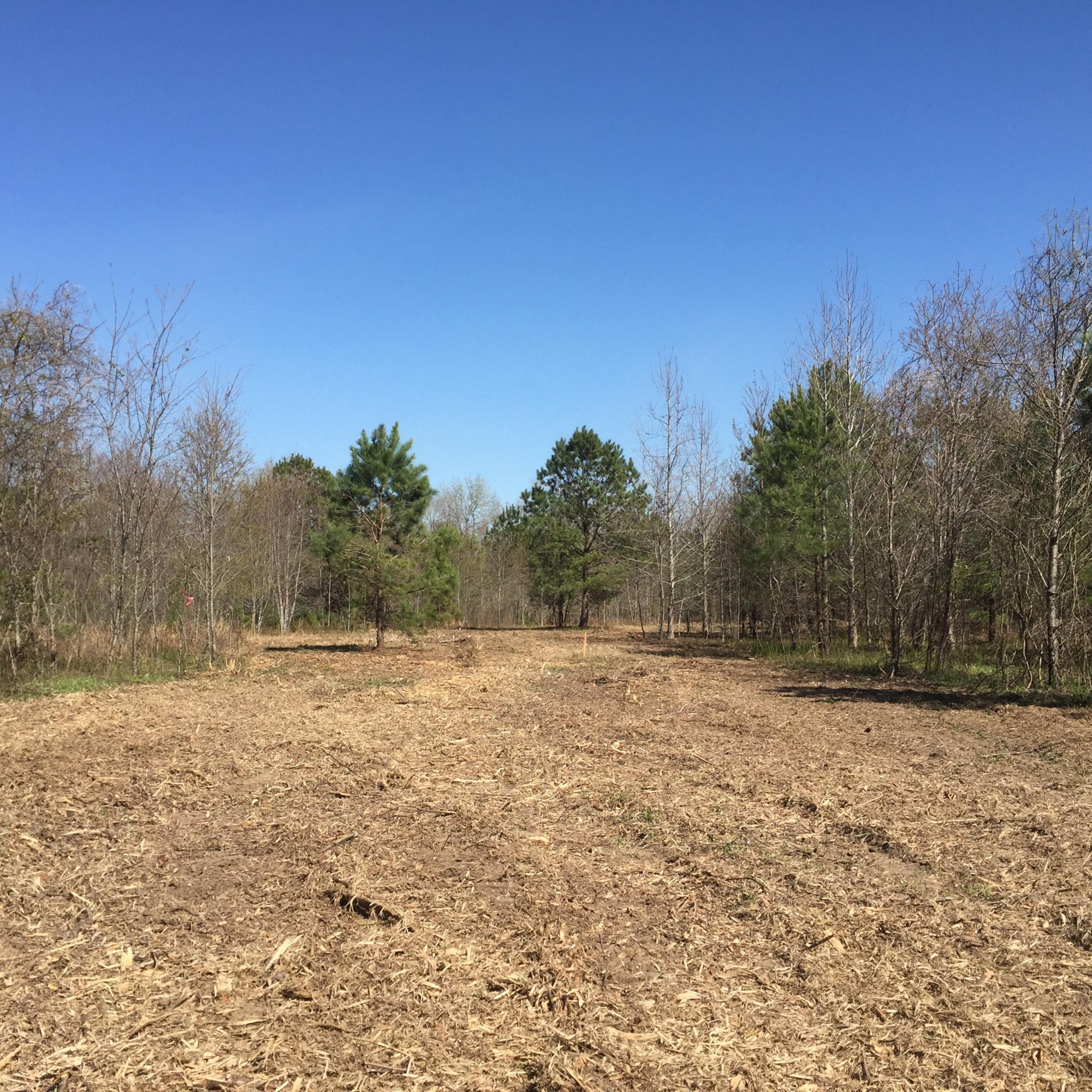 3 Dre Court Road Santee, SC 29142 - Photo 2 of 6 pic1