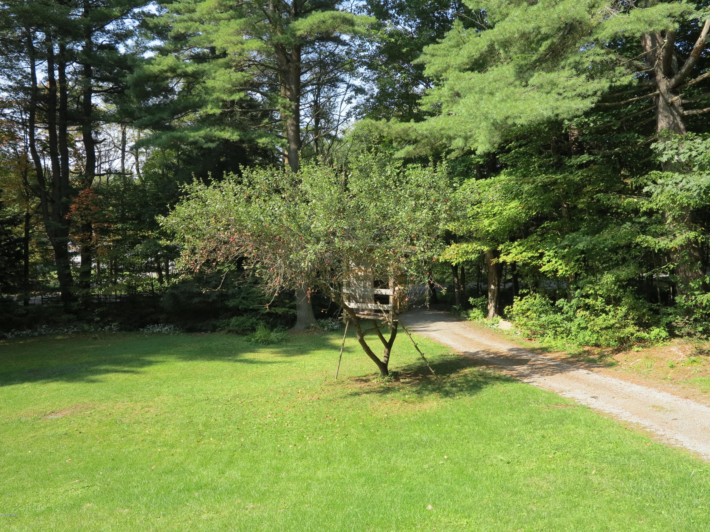 98 Tyringham Road Otis, MA 01253 - Photo 11 of 17 a view of swimming pool with a yard