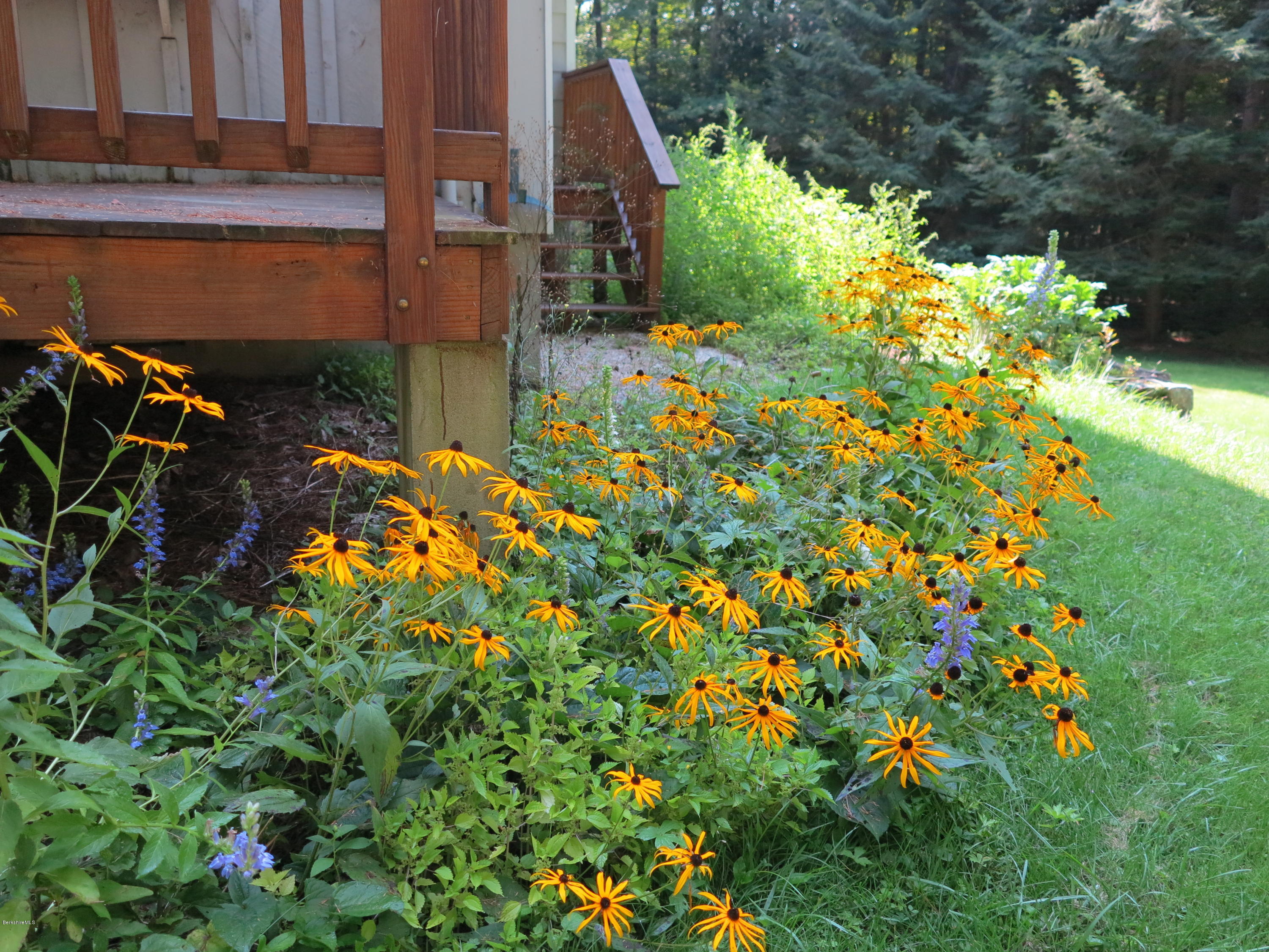 98 Tyringham Road Otis, MA 01253 - Photo 13 of 17 a backyard of a house with lots of green space