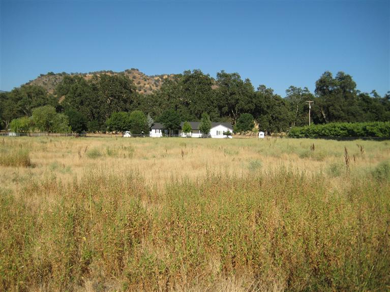 31886 Indian Guide Road Squaw Valley, CA 93675 - Photo 1 of 21 Gallery Image 1