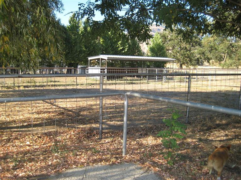 31886 Indian Guide Road Squaw Valley, CA 93675 - Photo 19 of 21 Gallery Image 19