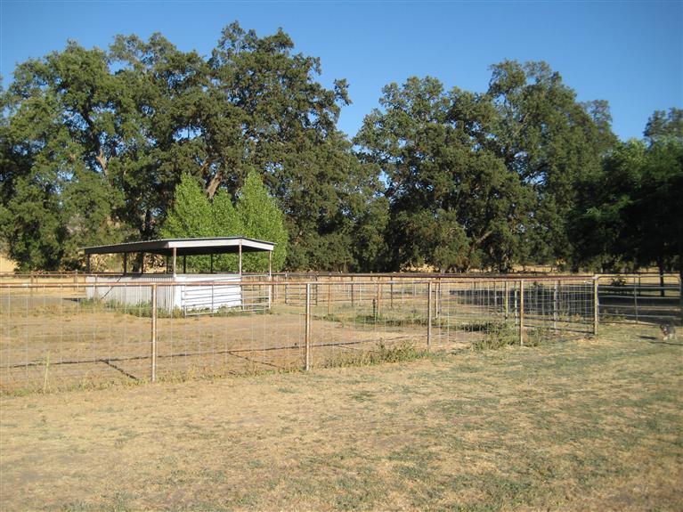 31886 Indian Guide Road Squaw Valley, CA 93675 - Photo 21 of 21 Gallery Image 21