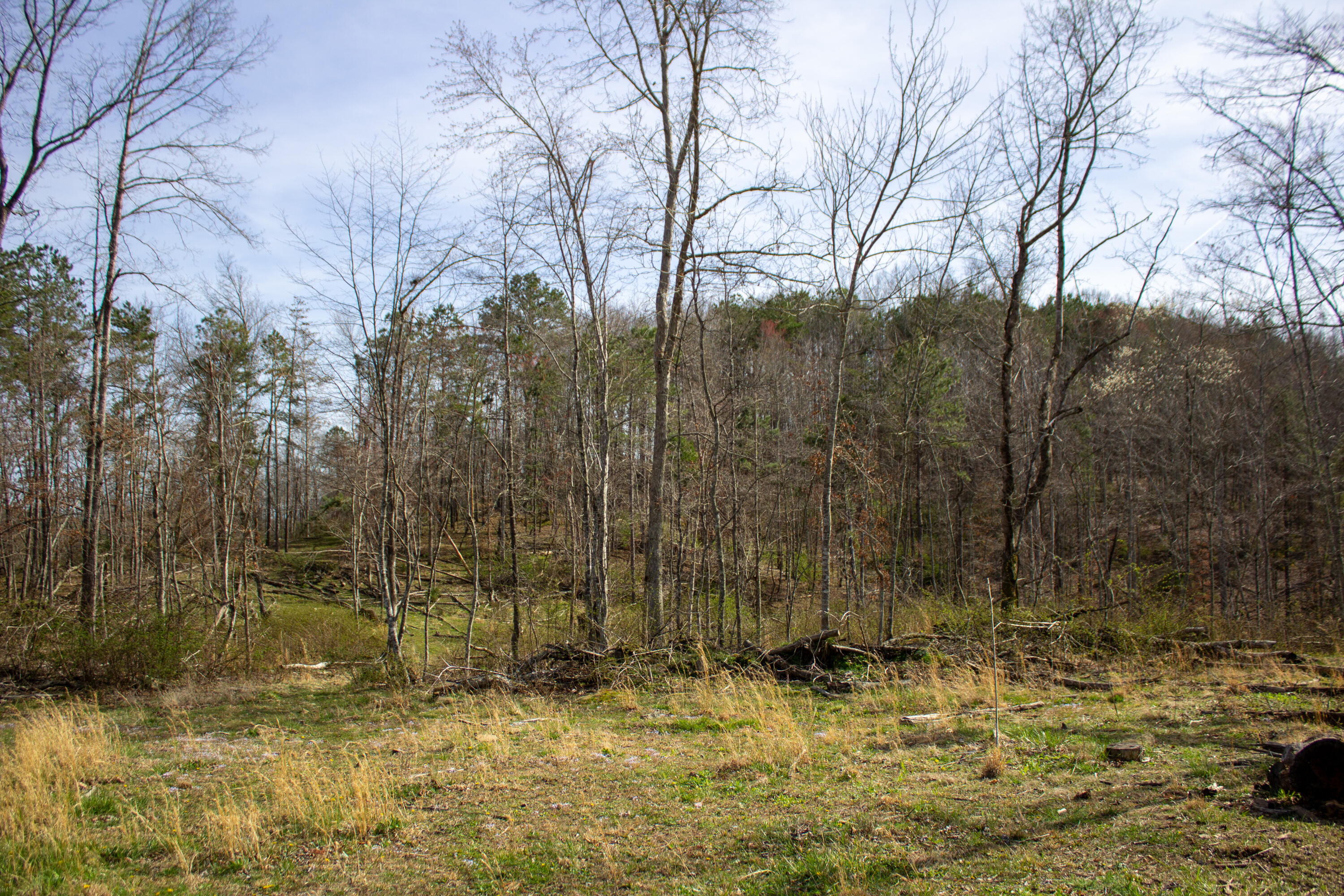 648 Conway Road Tyner, KY 40486 - Photo 7 of 17 Photo Apr 10, 3 57 00 PM