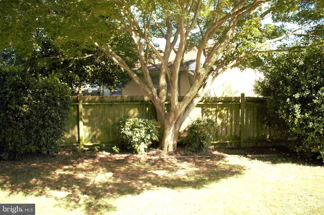 a view of a yard with plants and trees
