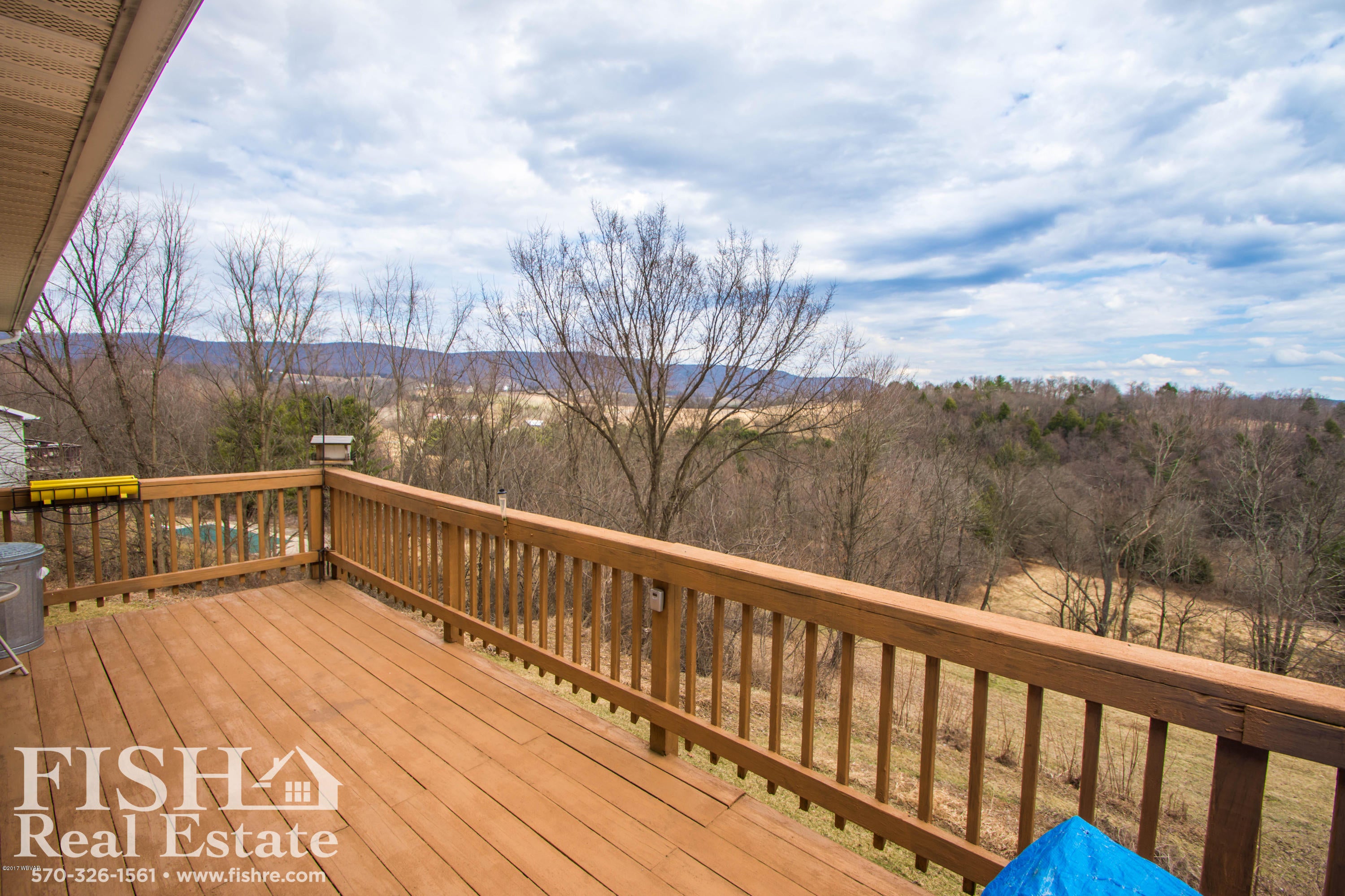 Deck view