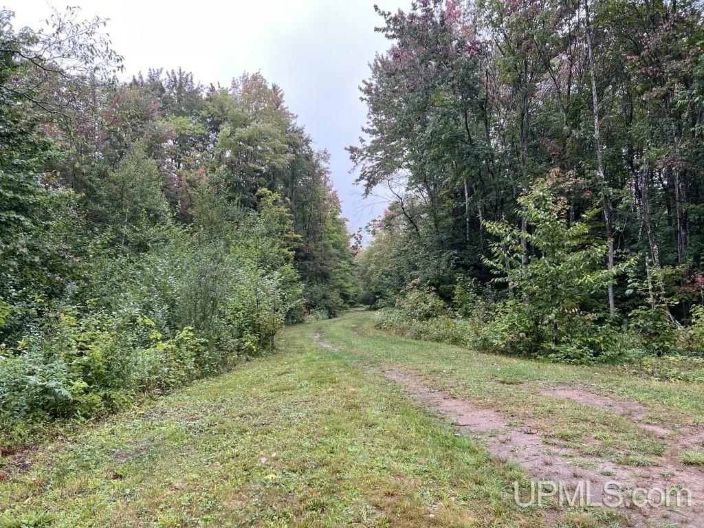454 Creighton Trail Road Shingleton, MI 49884 - Photo 26 of 26