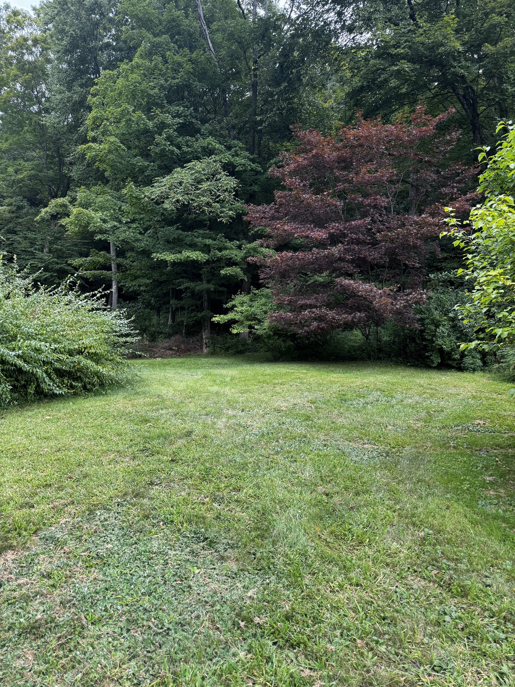 Killingworth Road Higganum, CT 06441 - Photo 1 of 1