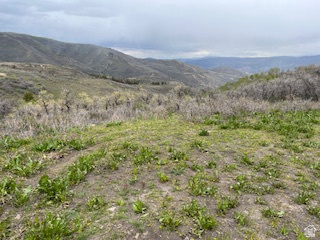 144 West Bear Tooth Ridge Coalville, UT 84017 - Photo 3 of 19 Expansive natural landscape with rolling hills and varied vegetation