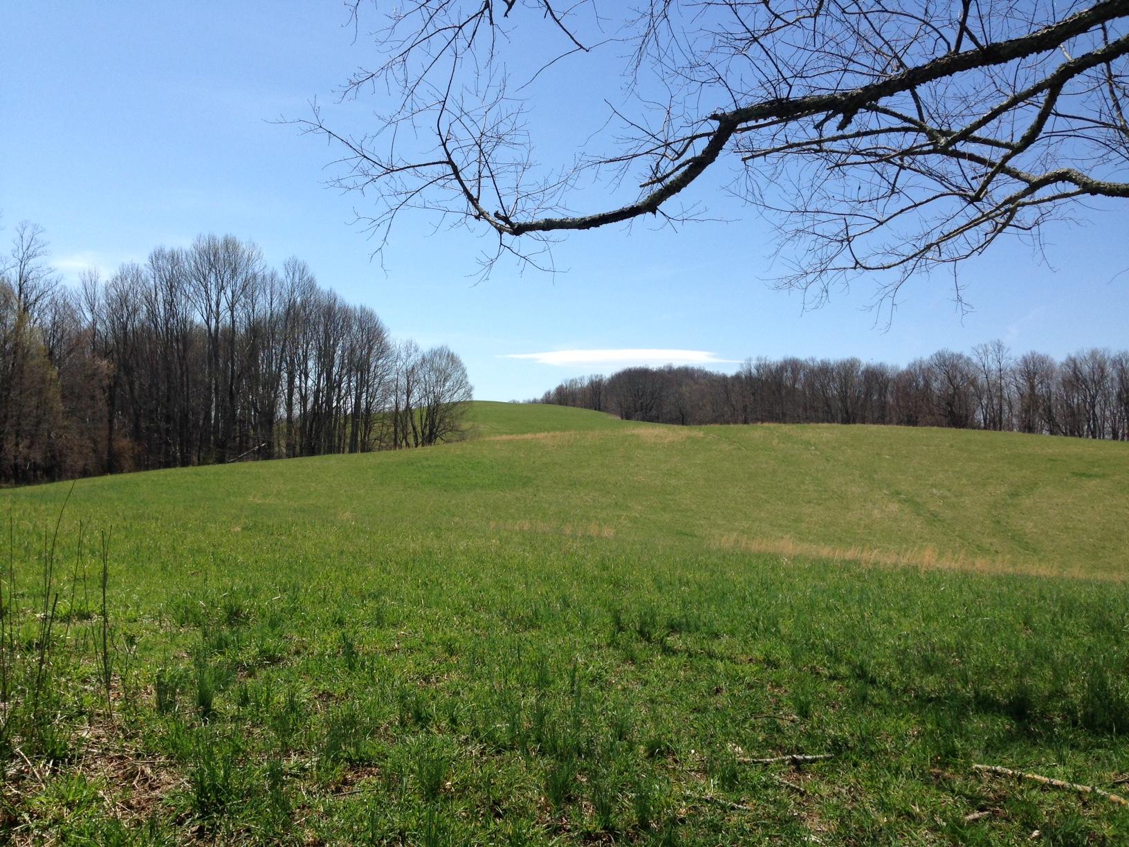 Dillon Road Forest Hill, WV 24935 - Photo 10 of 93 Gallery Image 10