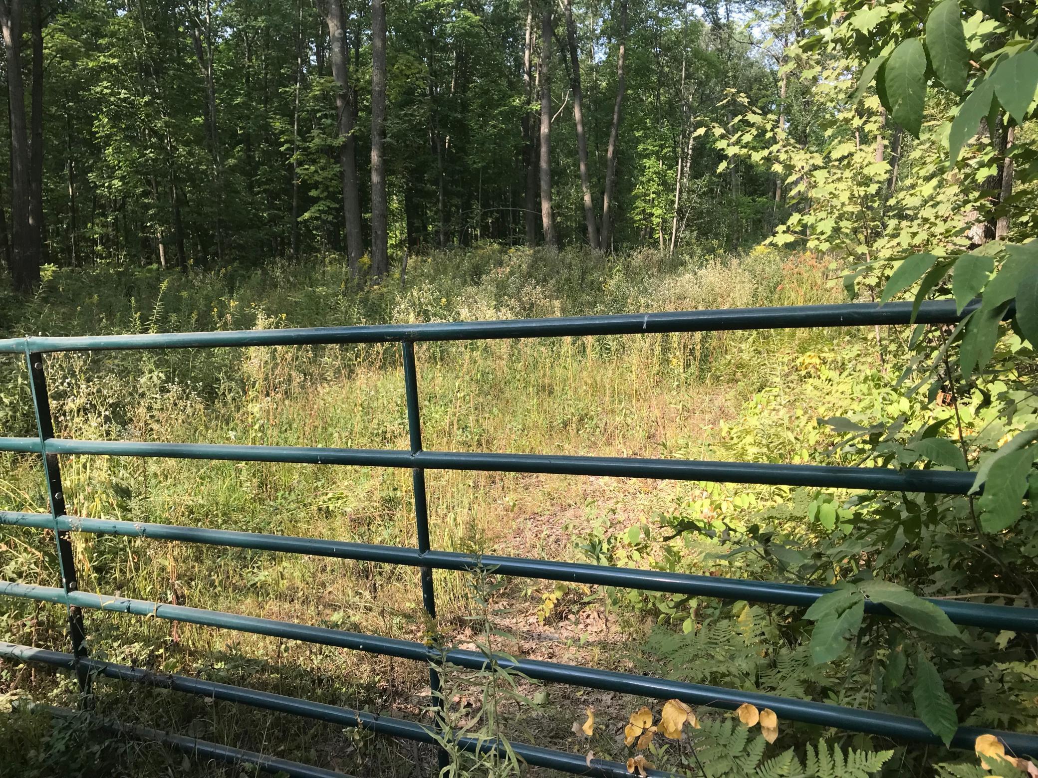 3393 30th Street Frederic, WI 54837 - Photo 1 of 1 Gallery Image 1