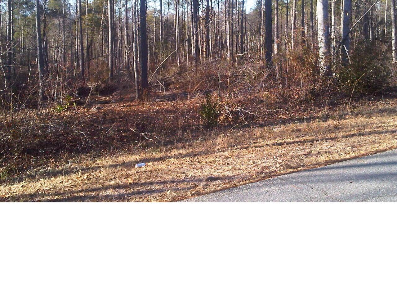 0 Marsh Road, Unit LOT 2 West Point, GA 31833 - Photo 1 of 1 Gallery Image 1