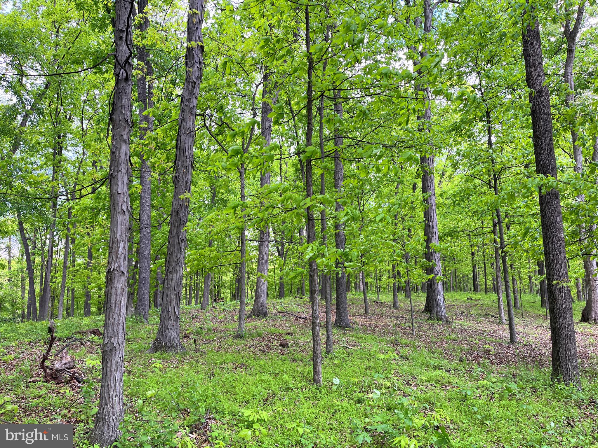 6512 Bino Road, Unit LOT 4 Greencastle, PA 17225 - Photo 2 of 19