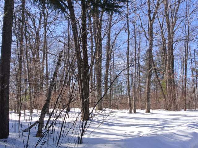 5850 Birch Lane Rhinelander, WI 54501 - Photo 10 of 12 Gallery Image 10