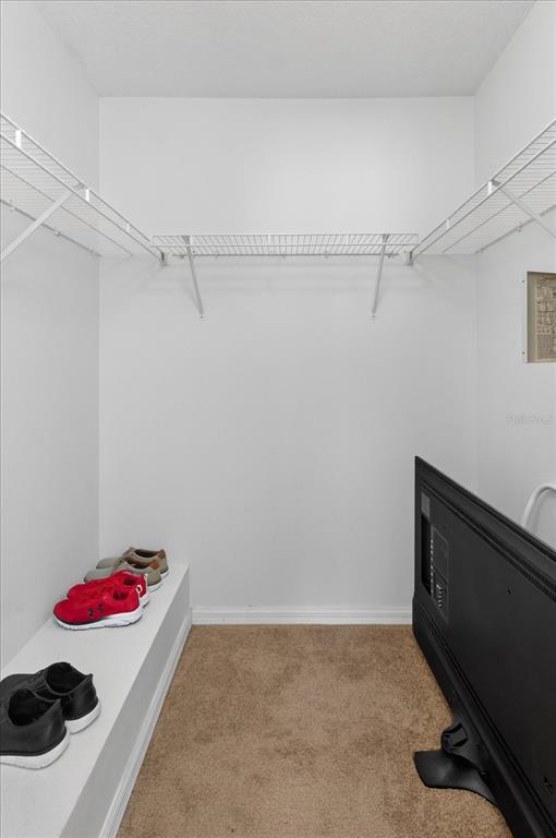 2140 Fluorshire Drive Brandon, FL 33511 - Photo 19 of 32