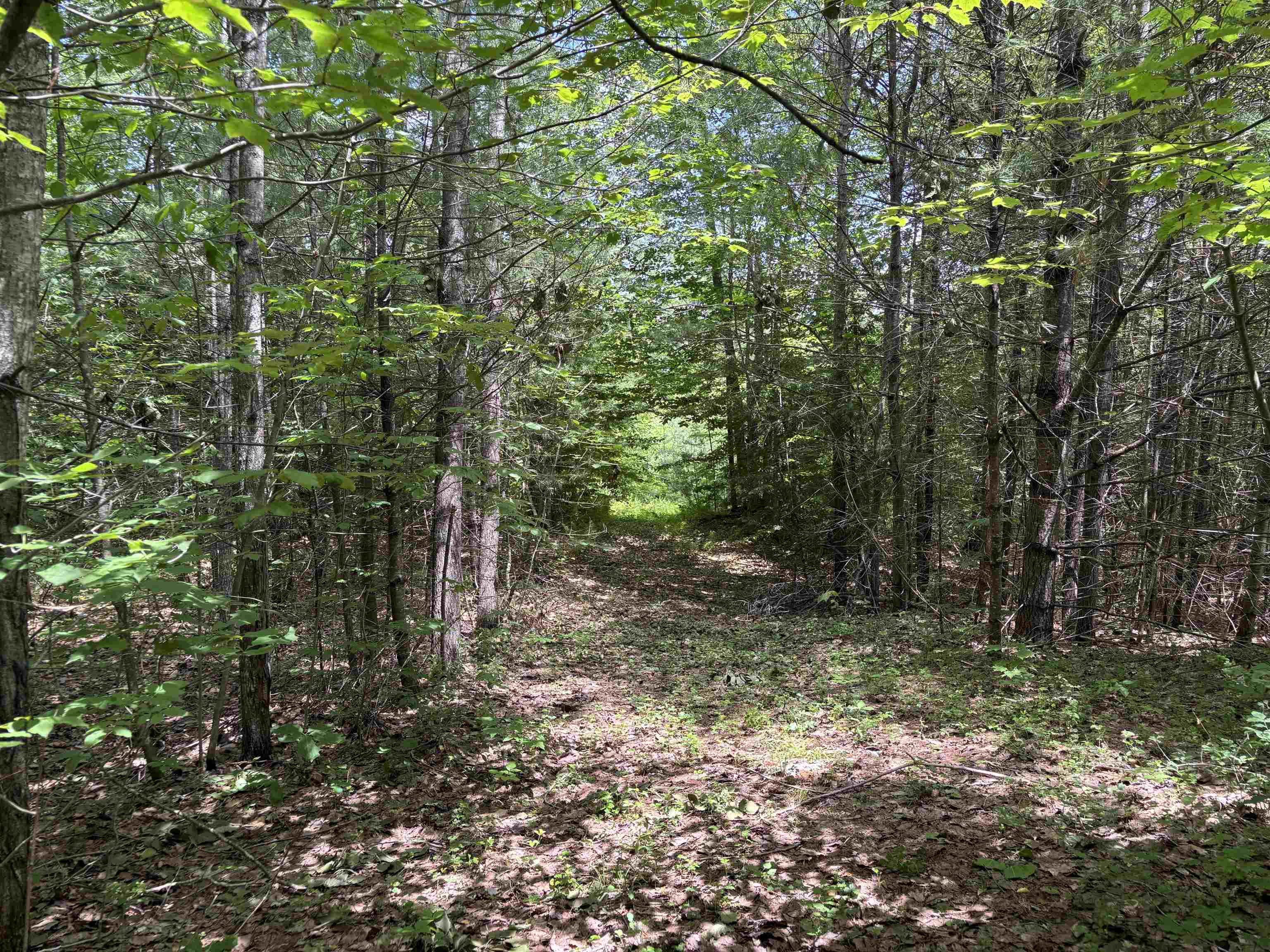 0 Simonsville Road, Unit LOT 3 Andover, VT 05143 - Photo 21 of 27