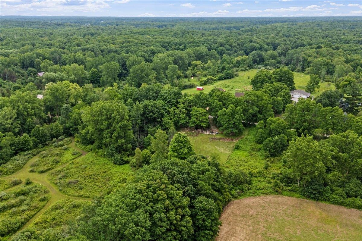 1187 Parks Road Goodells, MI 48027 - Photo 5 of 23
