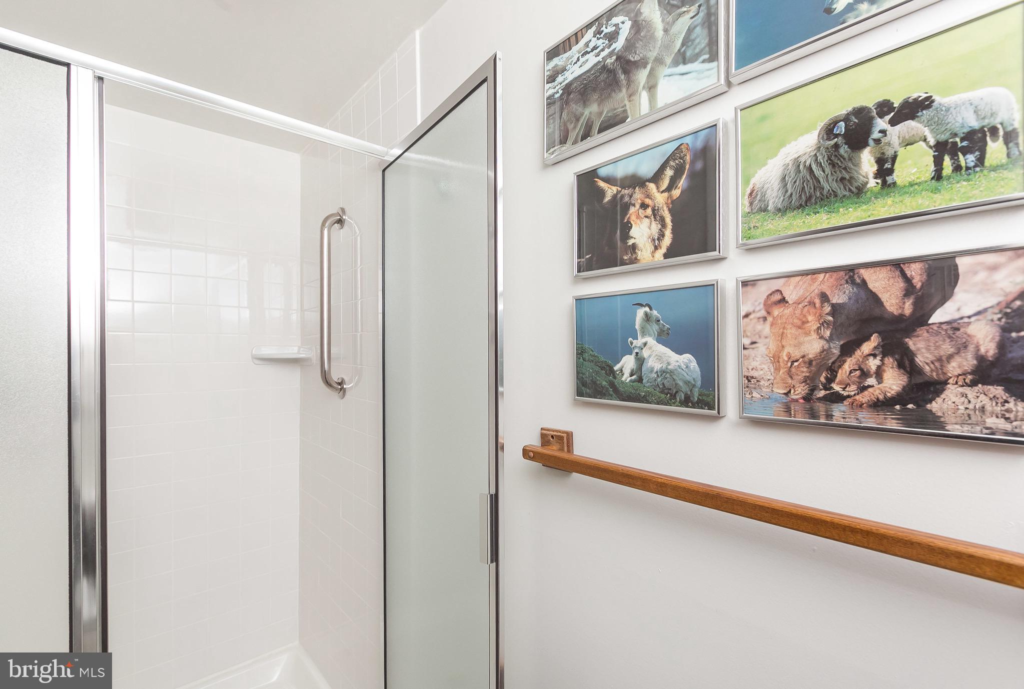4 Cross Keys Road, Unit 4D Baltimore, MD 21210 - Photo 22 of 32 Convenient walk-in shower