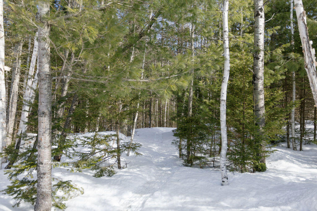 27 Prairie Road Strong, ME 04983 - Photo 68 of 101 taylor-kaminsky-photo-64