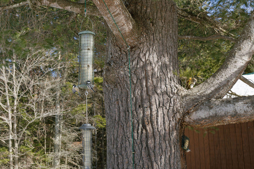 27 Prairie Road Strong, ME 04983 - Photo 75 of 101 taylor-kaminsky-photo-71