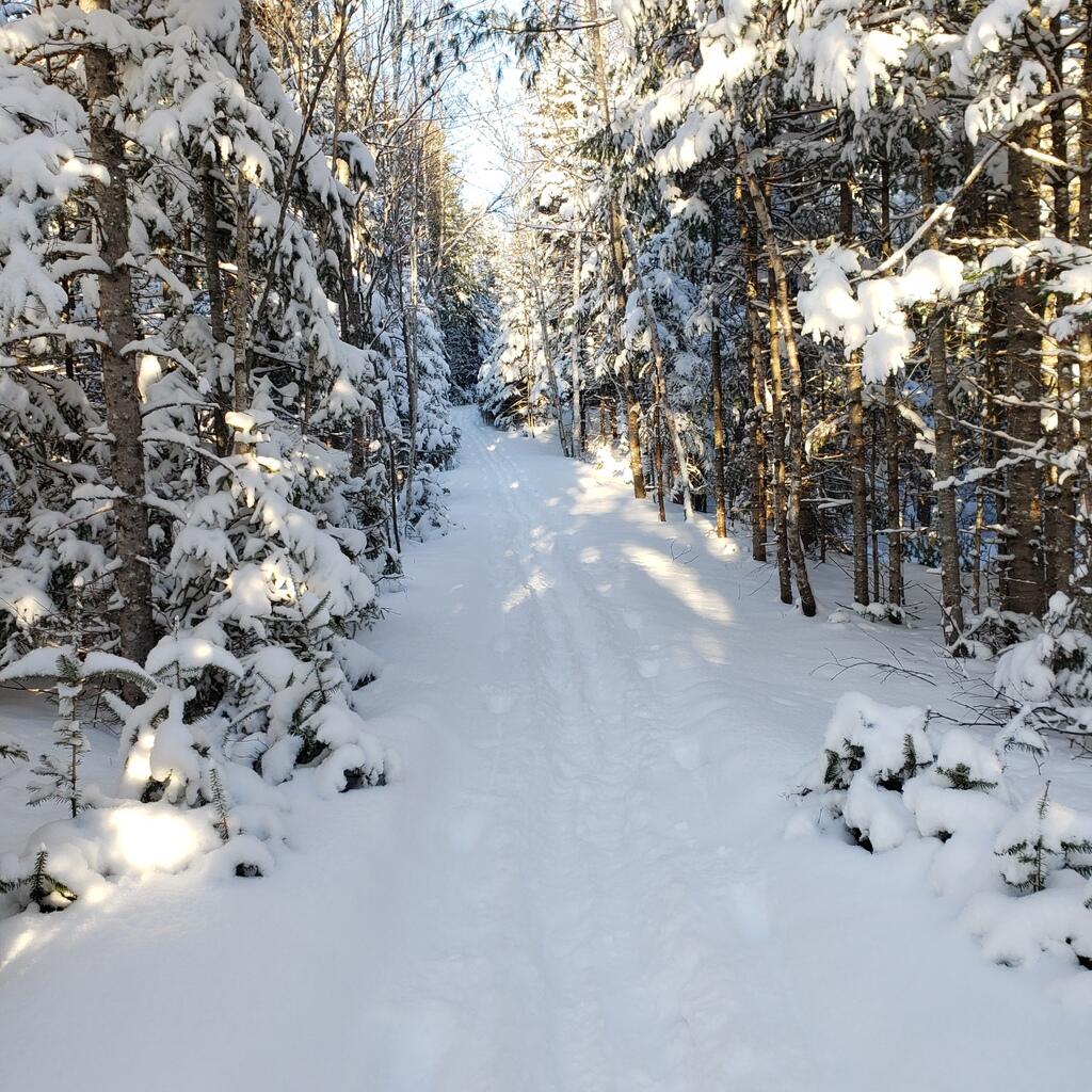 27 Prairie Road Strong, ME 04983 - Photo 93 of 101 27 Prairie Rd 28