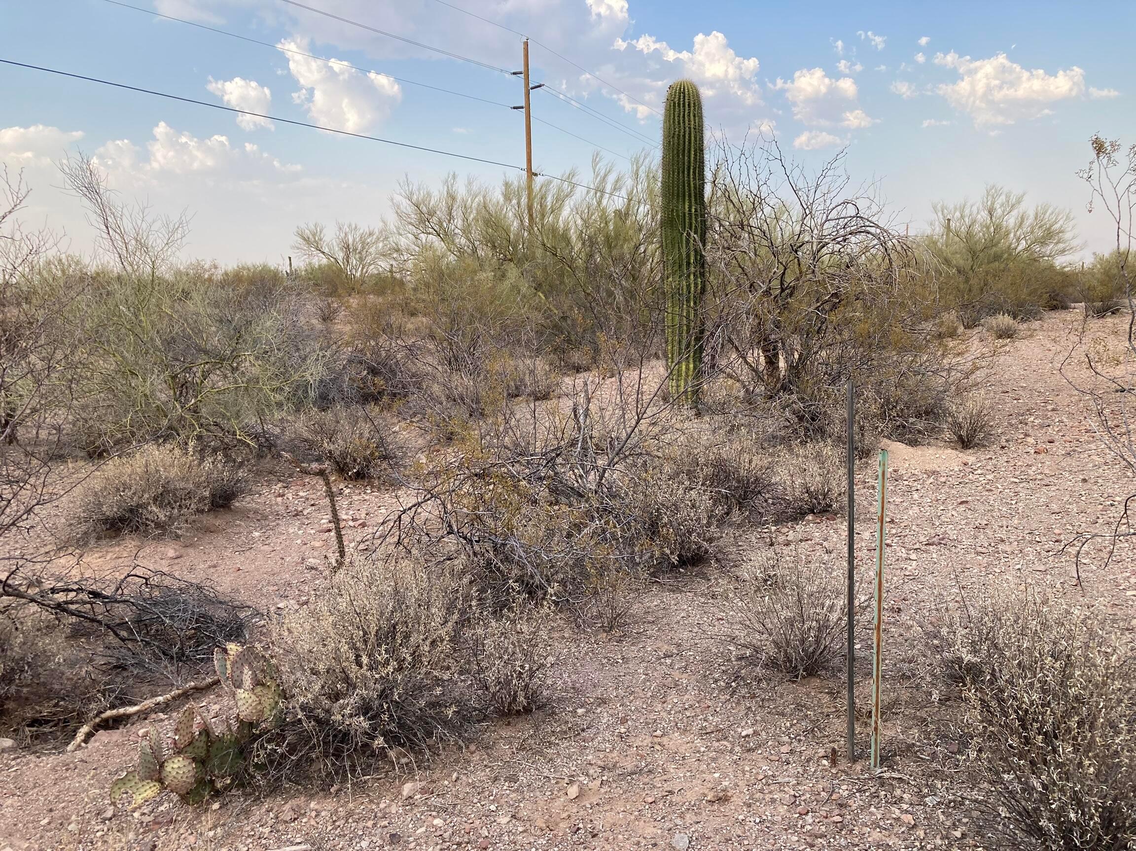 0 West Silverbell Road Marana, AZ 85653 - Photo 6 of 7