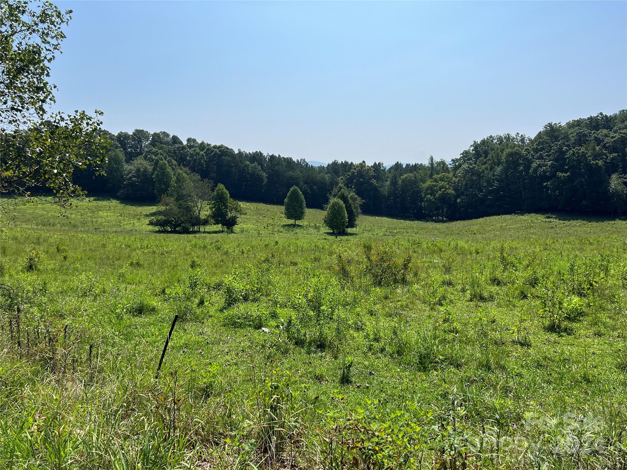 V/l Spainhour Road Morganton, NC 28655 - Photo 3 of 7 Gallery Image 3