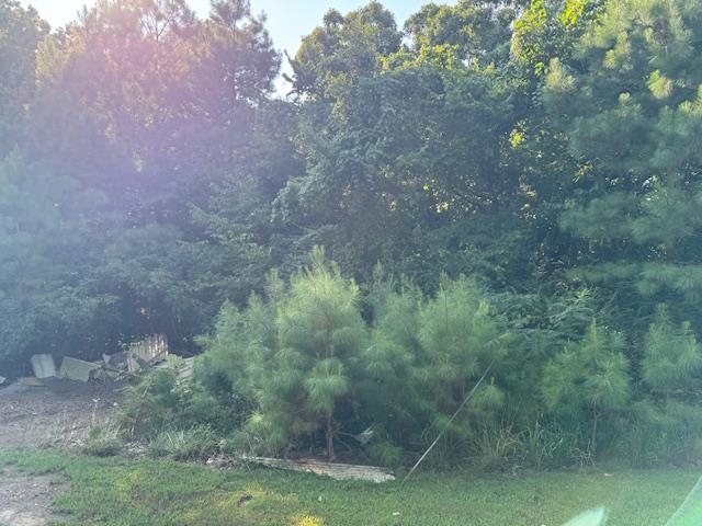 New Union Loop Toone, TN 38381 - Photo 3 of 3 a view of a forest that has a tree
