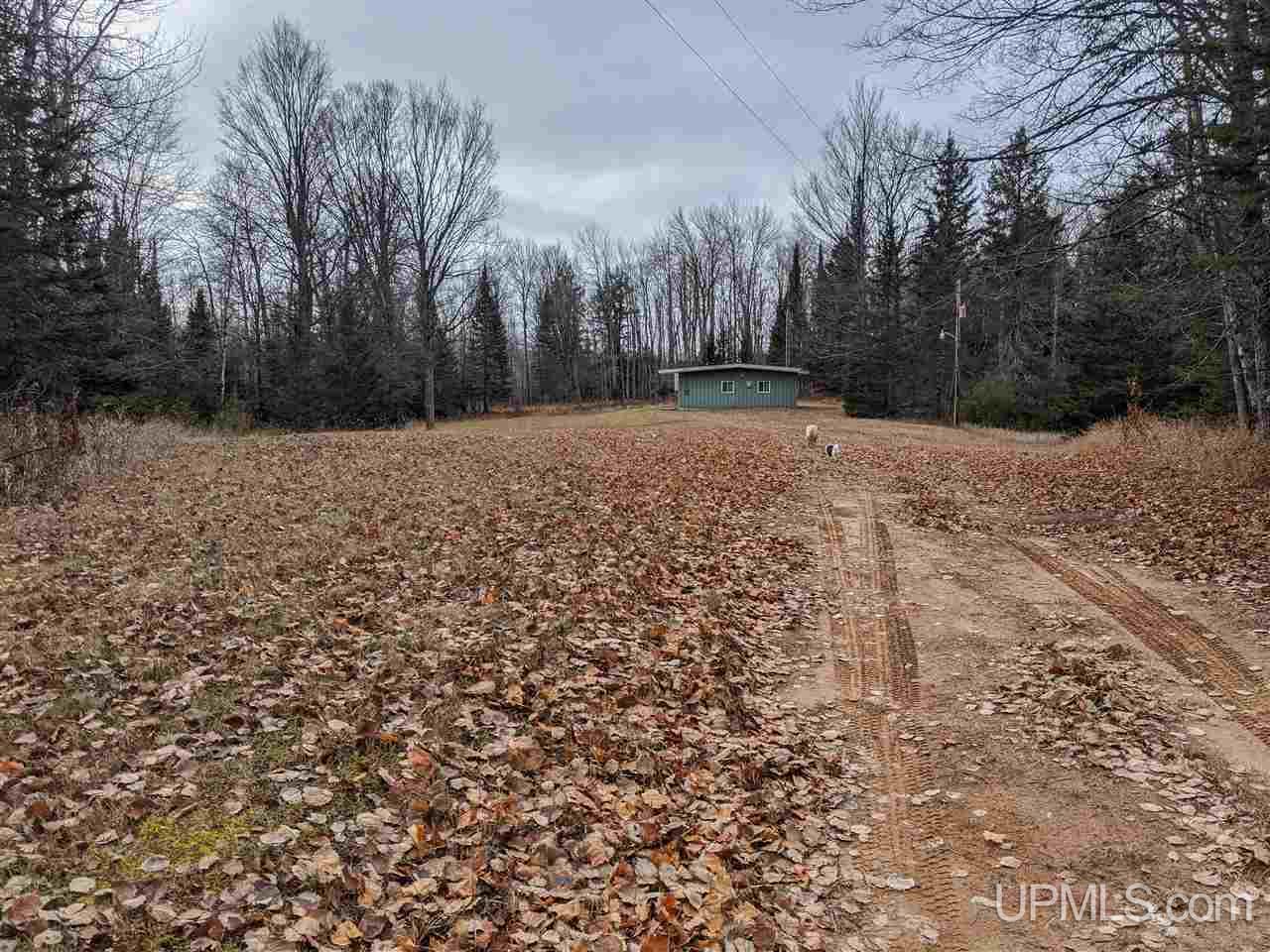 11851 Co Road Cornell, MI 49818 - Photo 29 of 49