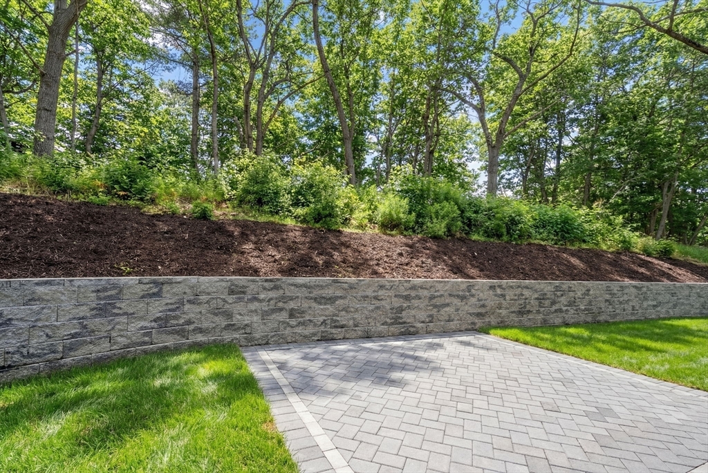 72 Valley Road Needham, MA 02492 - Photo 39 of 42 a view of a yard with plants and a tree