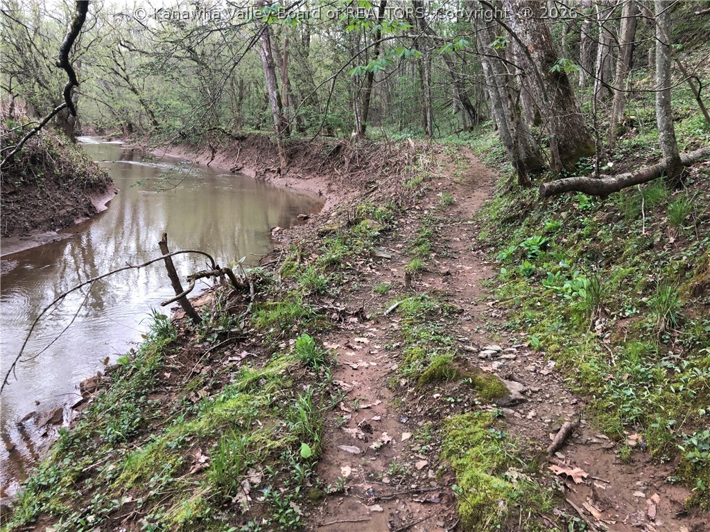 0 Cabin Rdg Road Leon, WV 25123 - Photo 10 of 13 Path along 13 mile creek