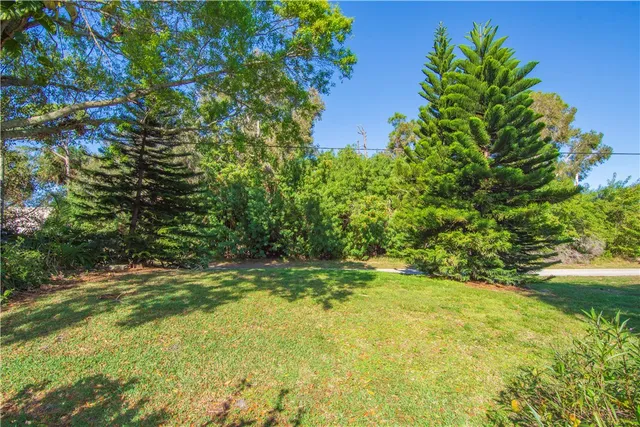 a view of yard with green space