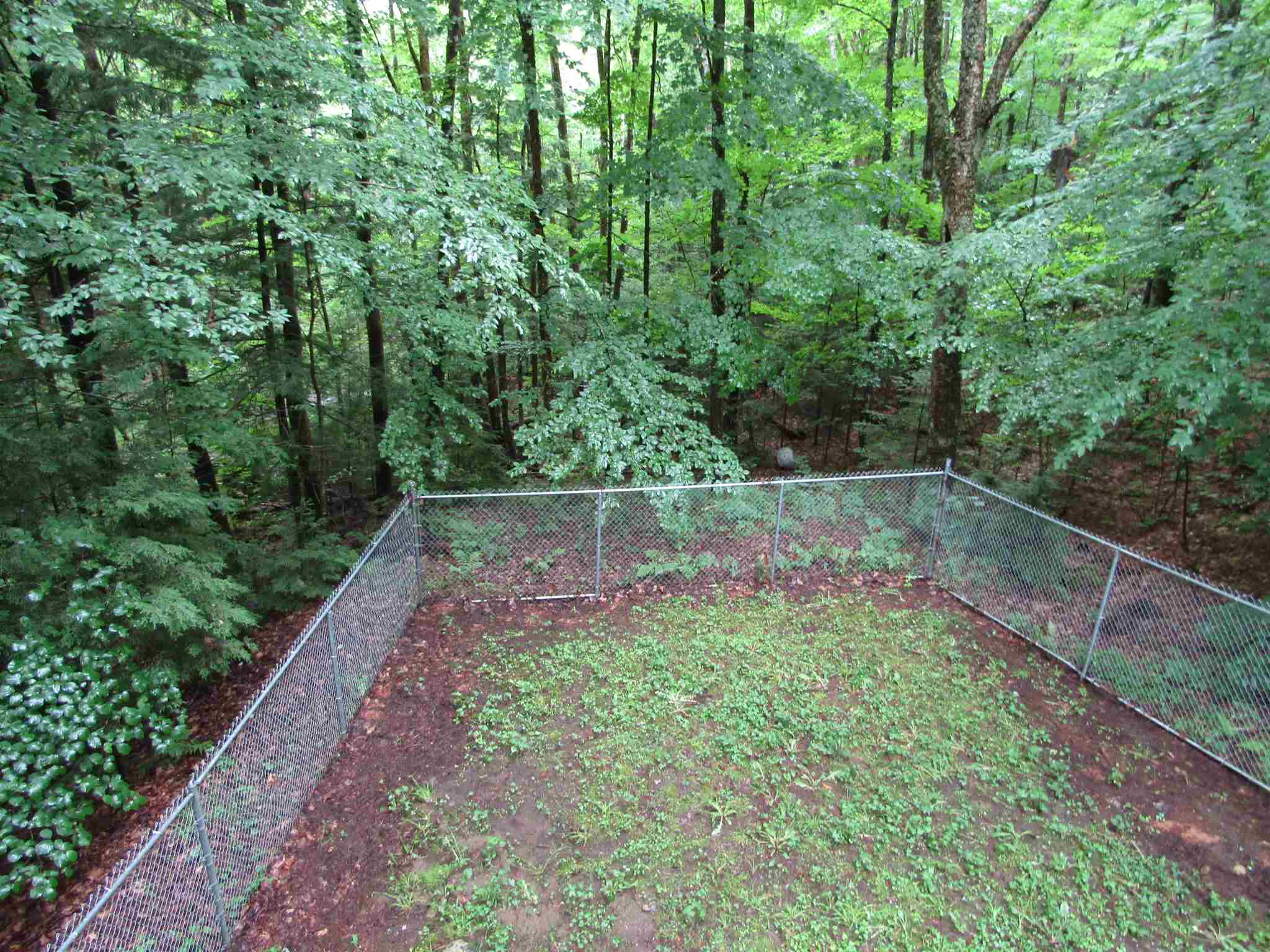 81 Bear Road Haverhill, NH 03785 - Photo 22 of 26 Gallery Image 22