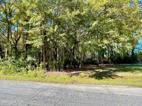 $12,500 | 1239 Chance Boulevard, Robersonville, NC 27871