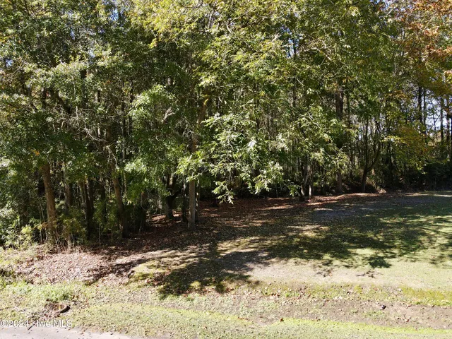 $12,500 | 1239 Chance Boulevard, Robersonville, NC 27871