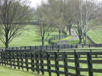 1 Old Lemons Mill Road Lexington, KY 40511 - Photo 4 of 6 Photo 4