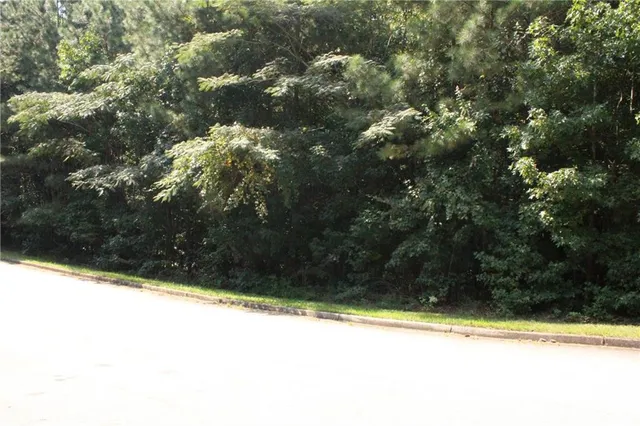 a view of a back yard