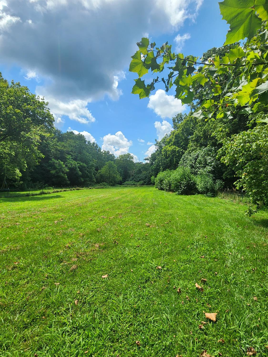 13970 Sinking Spring Road Peebles, OH 45660 - Photo 49 of 56