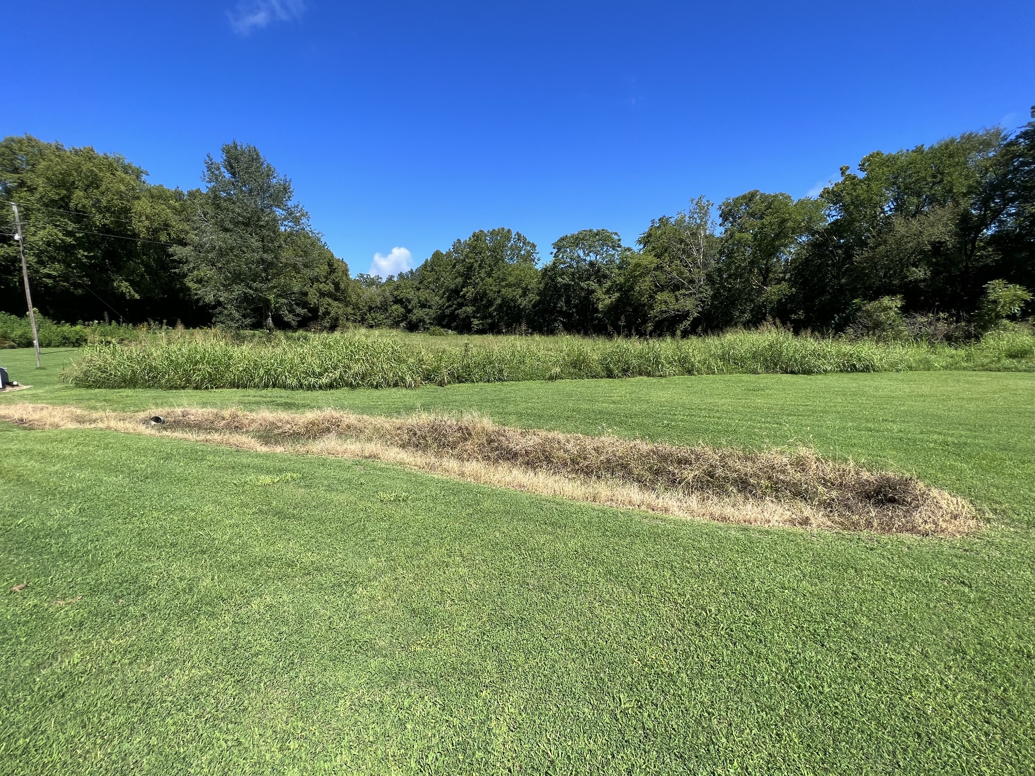 290 Gunter Hollow Road Pulaski, TN 38478 - Photo 16 of 30 Gallery Image 16