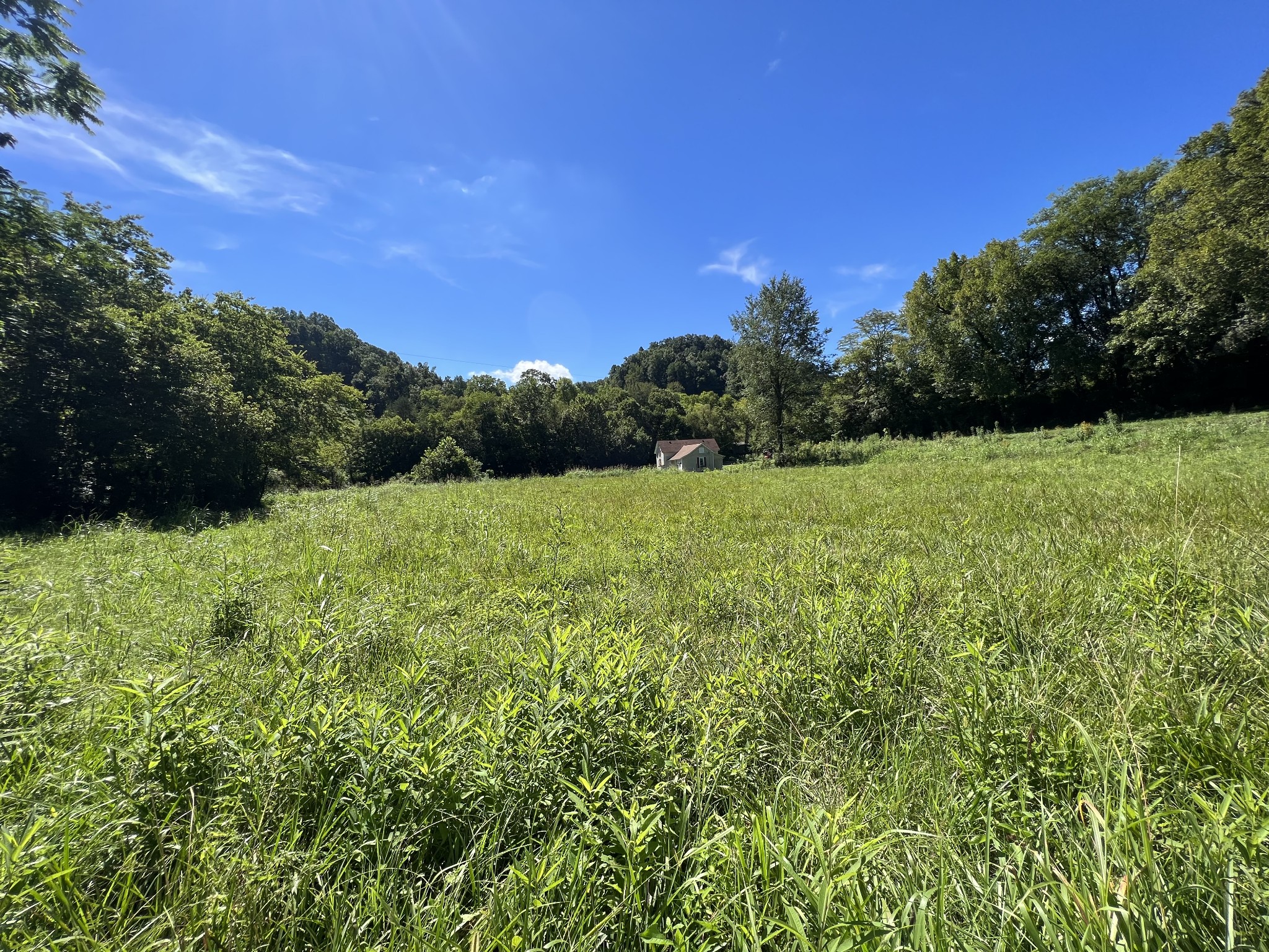 290 Gunter Hollow Road Pulaski, TN 38478 - Photo 22 of 30 Gallery Image 22