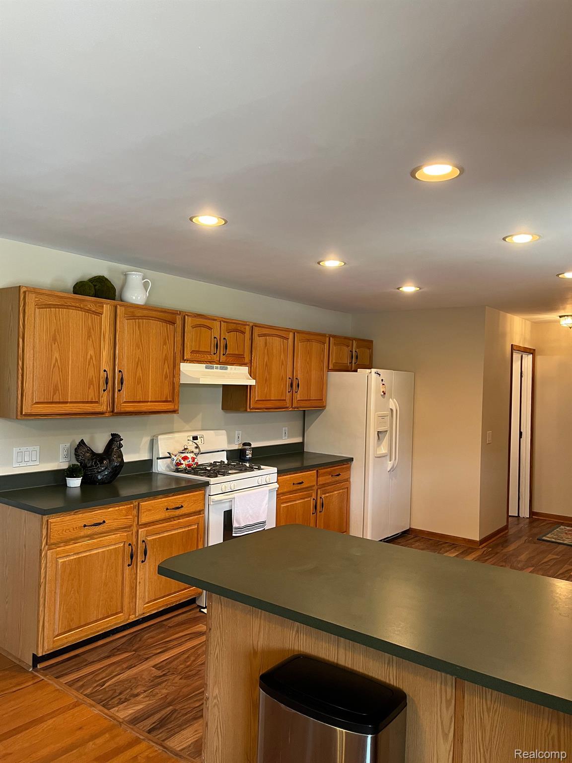 8245 Hartland Road Fenton, MI 48430 - Photo 13 of 39 kitchen