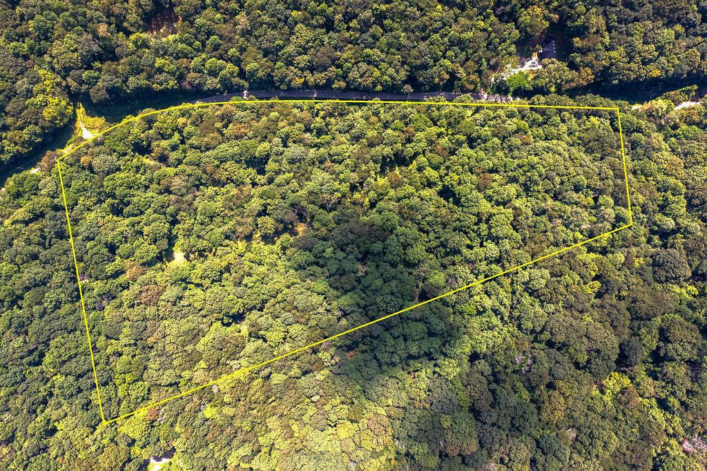 24272 Conrad Road Laurelville, OH 43135 - Photo 3 of 32 3-Aerial Boundary-3