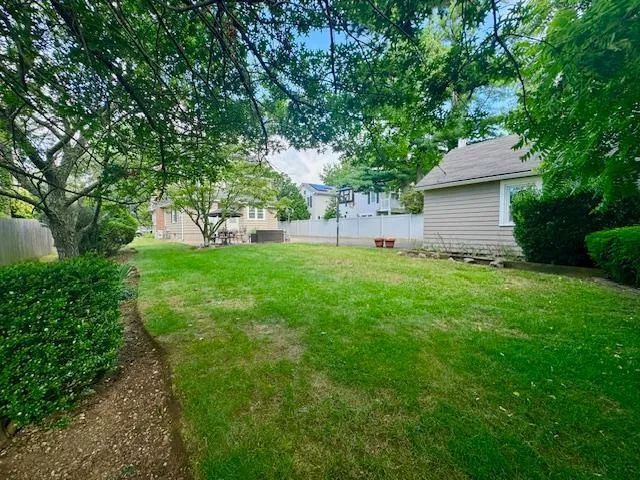 a backyard of a house with plants and large tree