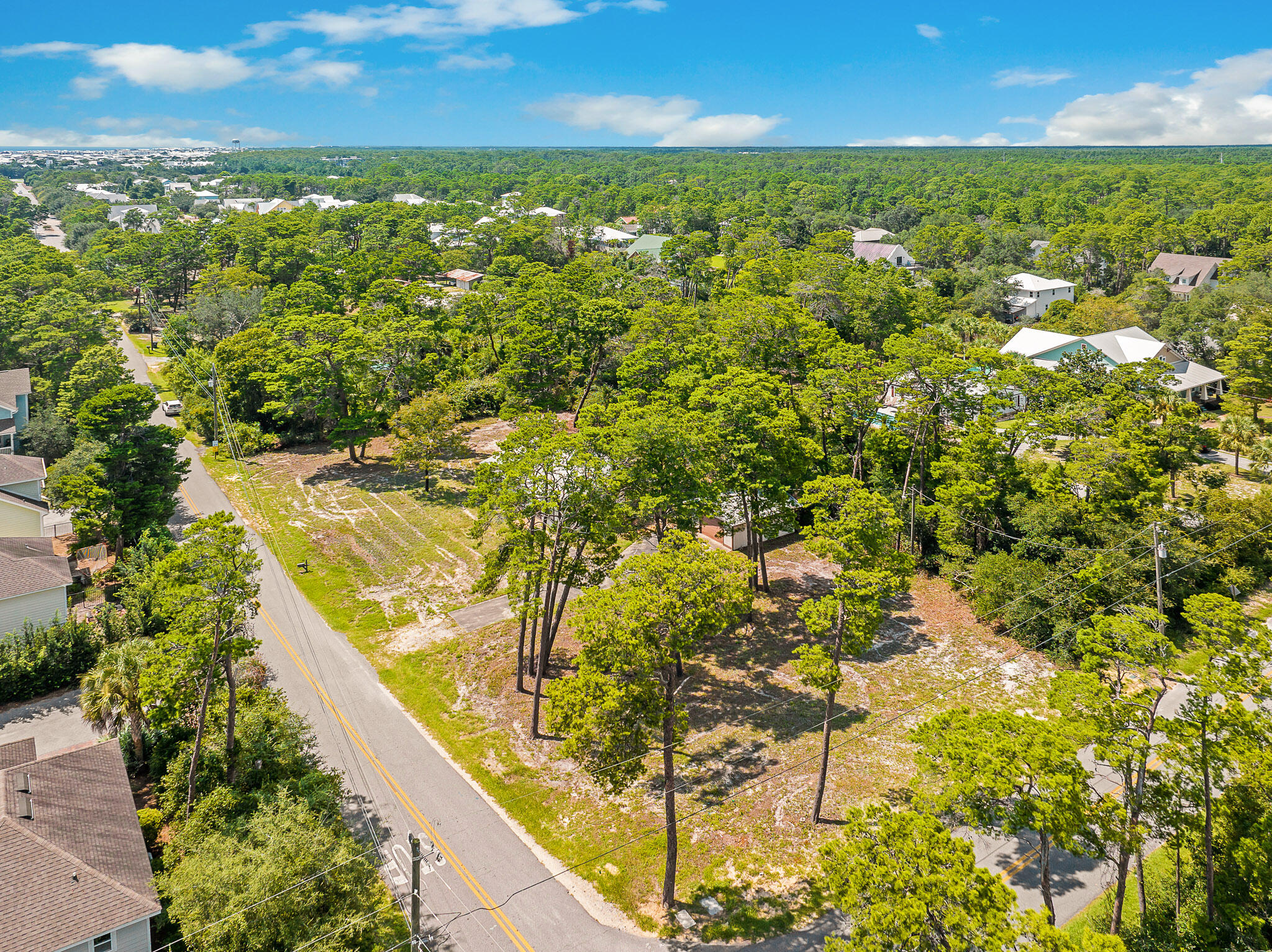 323 Pinewood Lane Inlet Beach, FL 32461 - Photo 22 of 50 a view of yard with ocean view