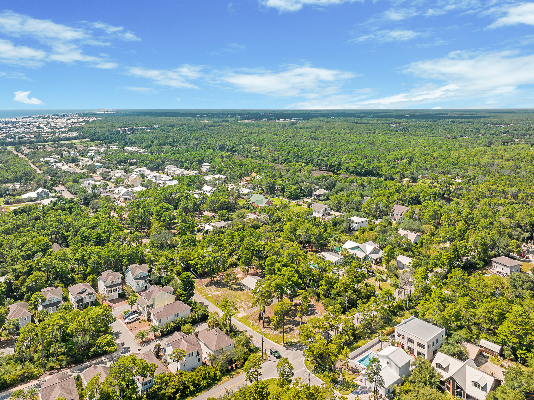 323 Pinewood Lane Inlet Beach, FL 32461 - Photo 41 of 50 an aerial view of residential houses with outdoor space and trees