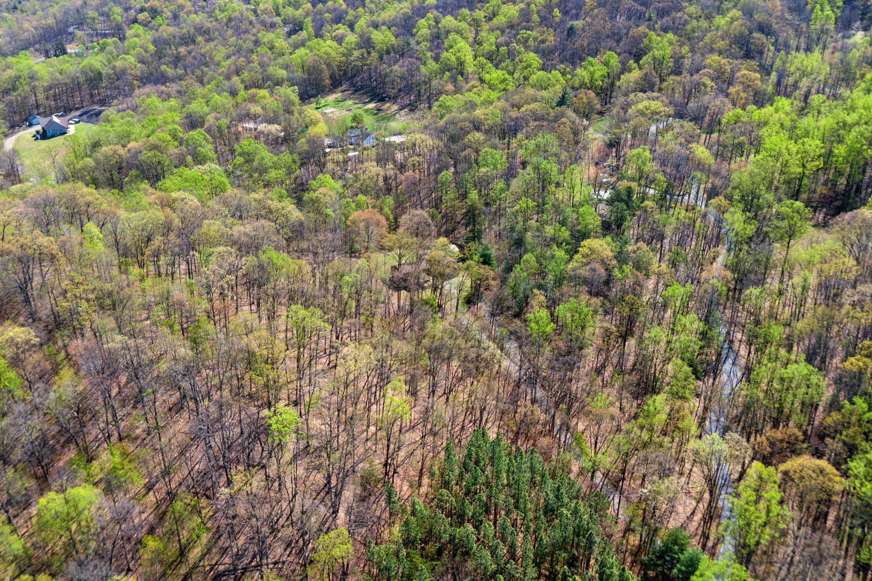 181 Serenity Lane Blue Ridge, VA 24064 - Photo 55 of 56 52-181 Serenity Ln-52