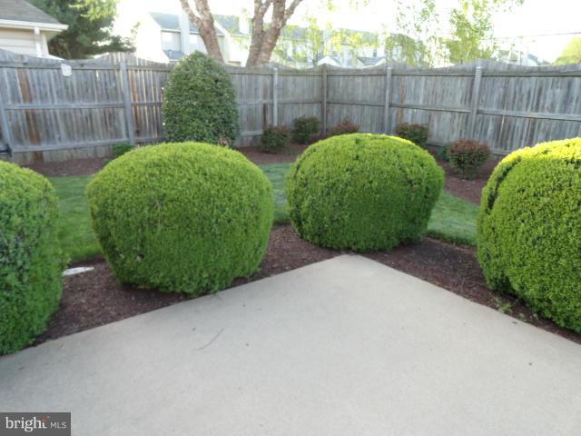 884 Ripplebrook Drive Culpeper, VA 22701 - Photo 19 of 24 Exterior (Rear)