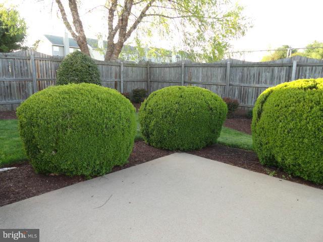 884 Ripplebrook Drive Culpeper, VA 22701 - Photo 20 of 24 Exterior (Rear)